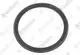 VAILLANT-Dichtung-Lippendichtring-Brennwertsystem-60-100-PP-Vaillant-Nr-0010042277 gallery number 1
